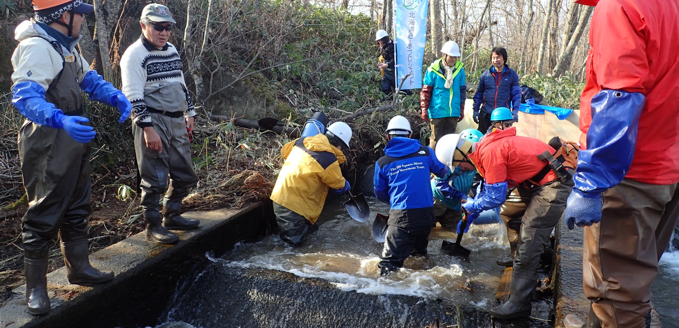 NPO法人EnVision環境保全事務所