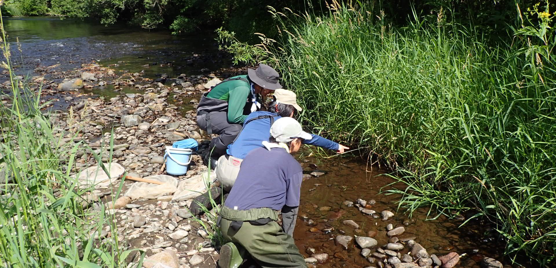 Friends of Shari River 斜里川を考える会