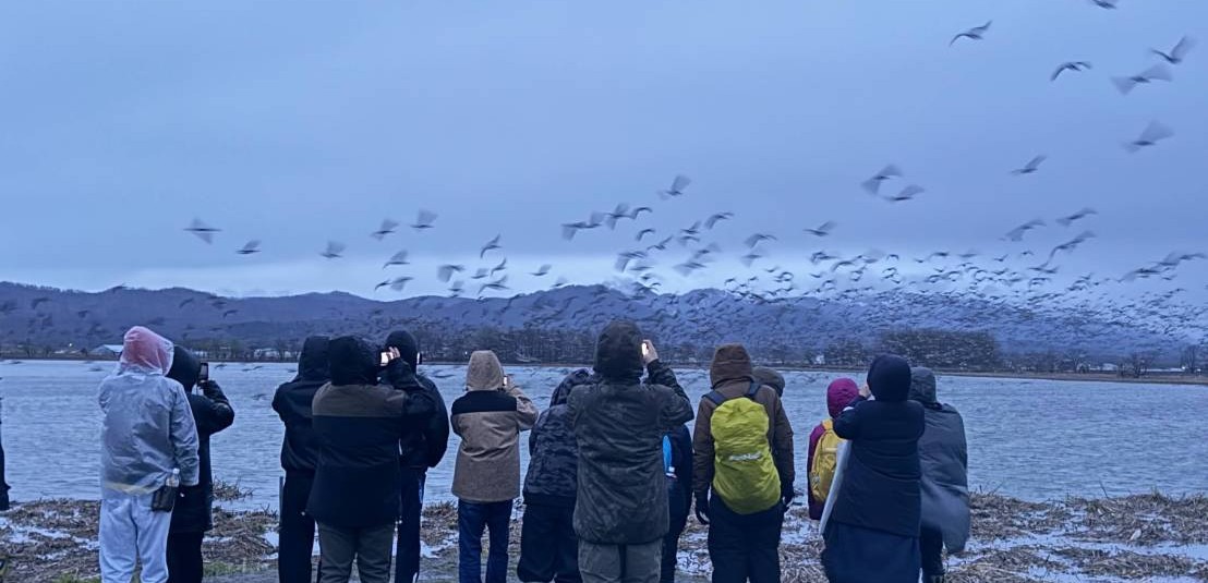 特定非営利活動法人 みんなの