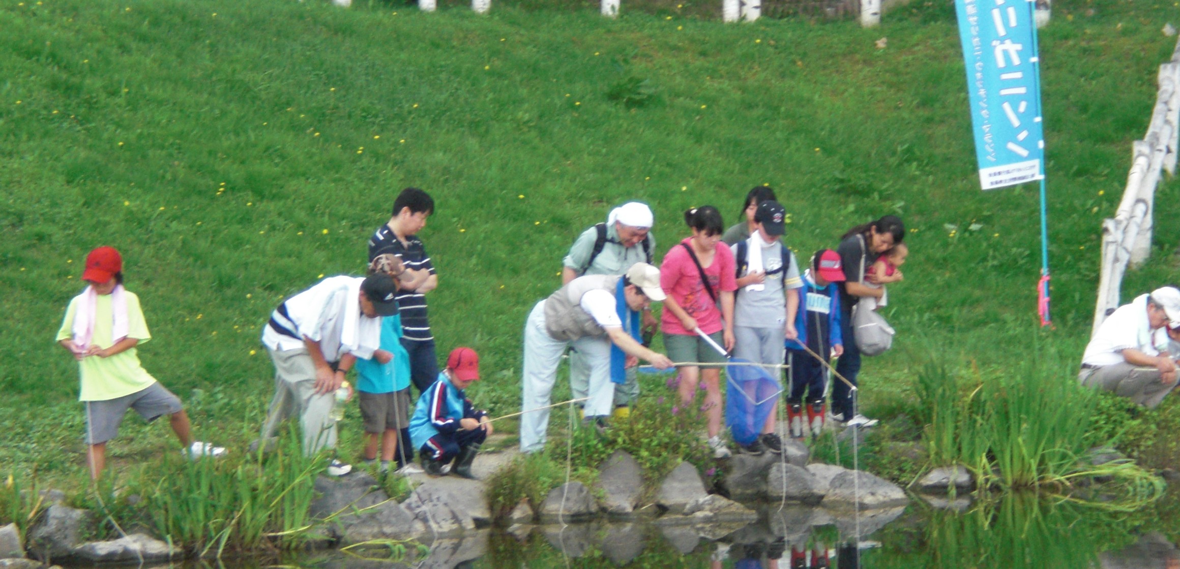 ザリガニと身近な水辺を考える会