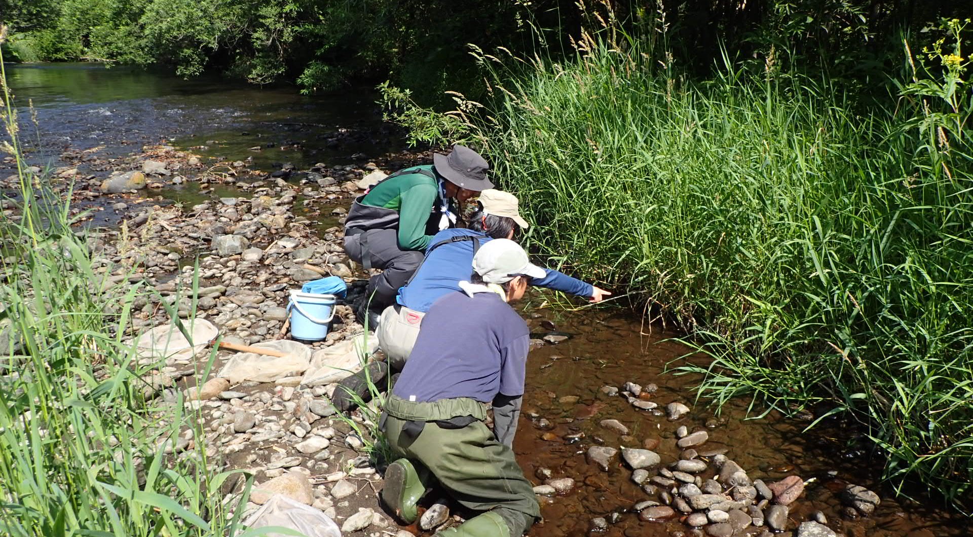 【斜里町】 「Friends of Shari River 斜里川を考える会」活動報告