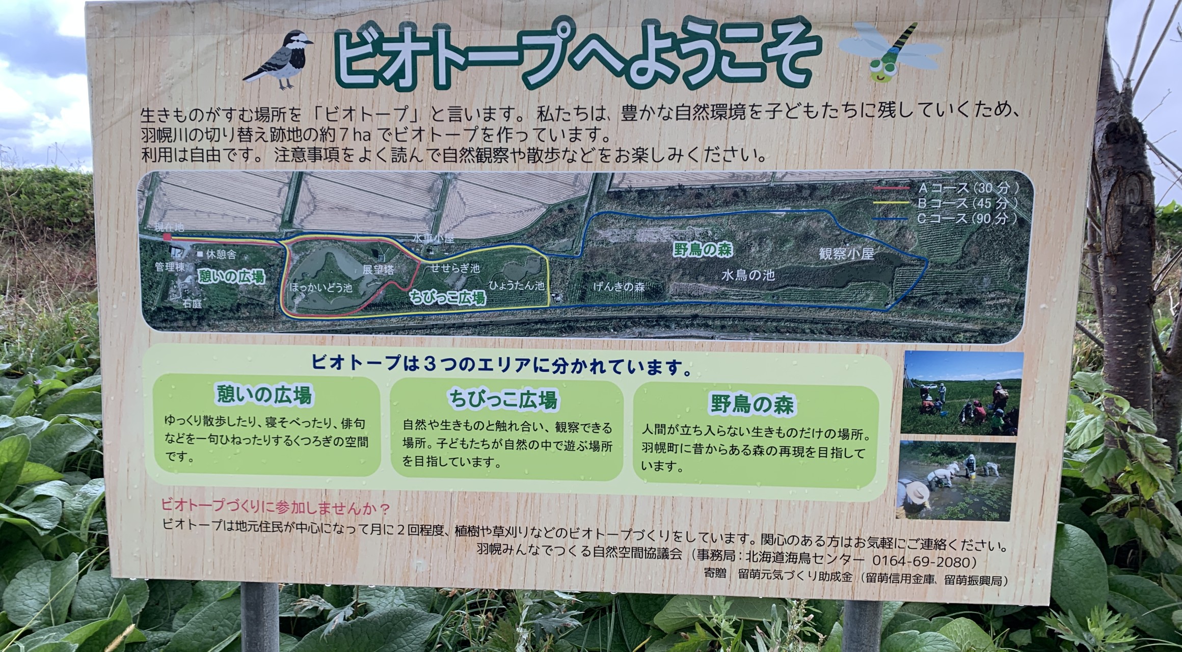 【羽幌町】　　「羽幌みんなでつくる自然空間協議会」活動報告