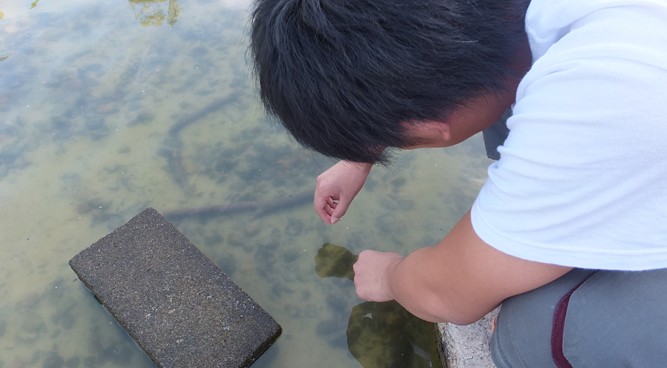 【江別市】酪農学園大学　環境GIS研究室　Webレポート