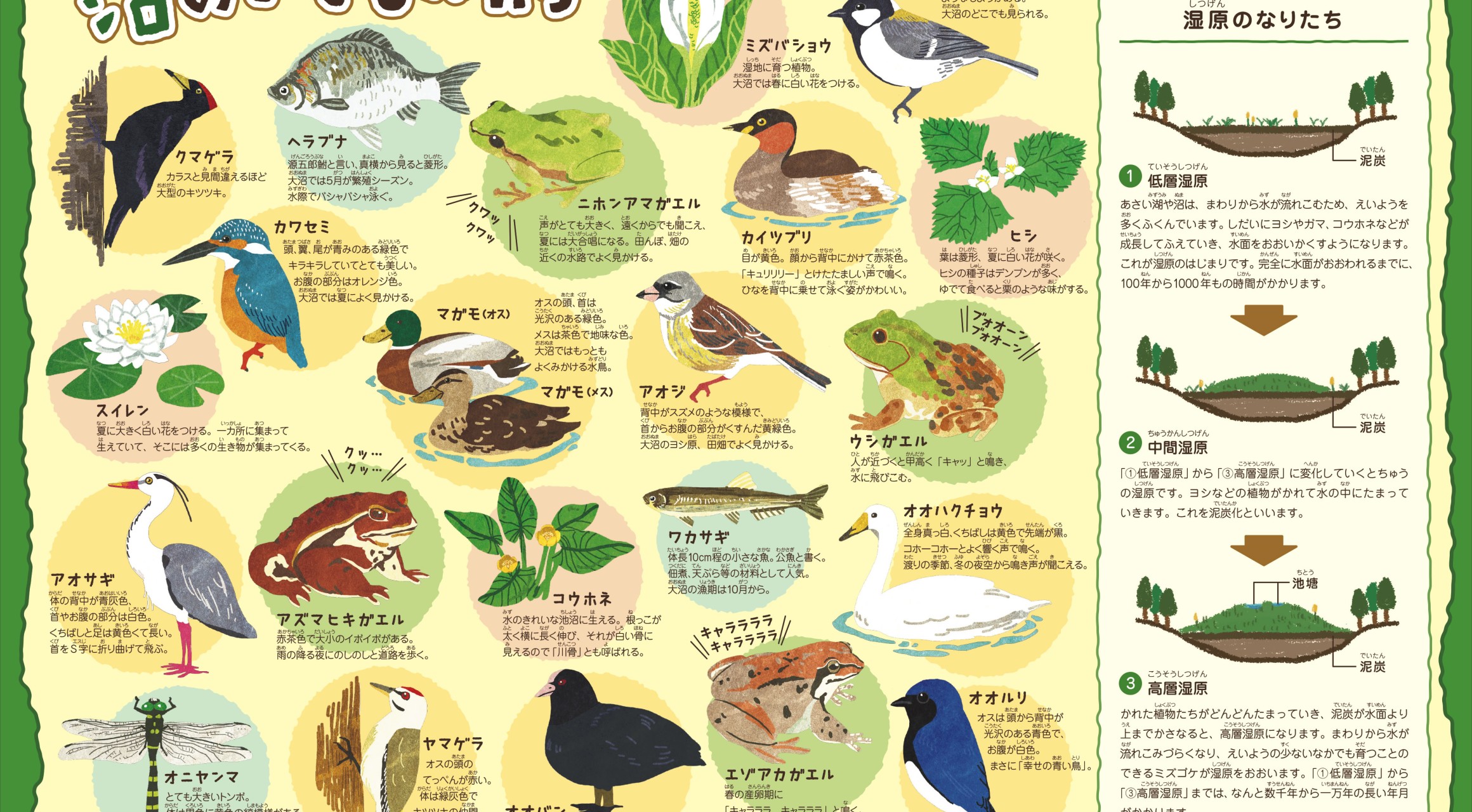 【七飯町】特定非営利活動法人大沼・駒ヶ岳 ふるさとづくりセンター　Webレポート