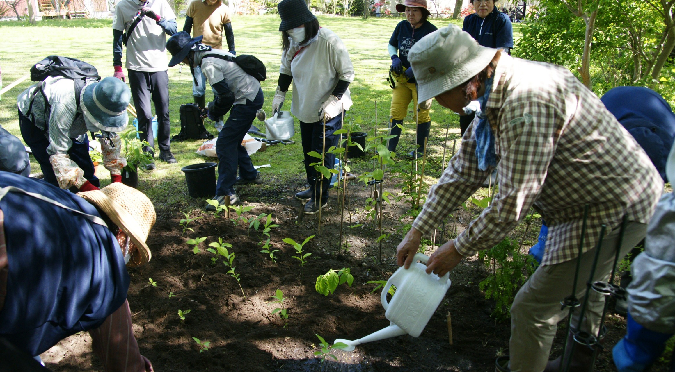 【伊達市】水車・アヤメ川自然公園を育てる市民の会　Webレポート