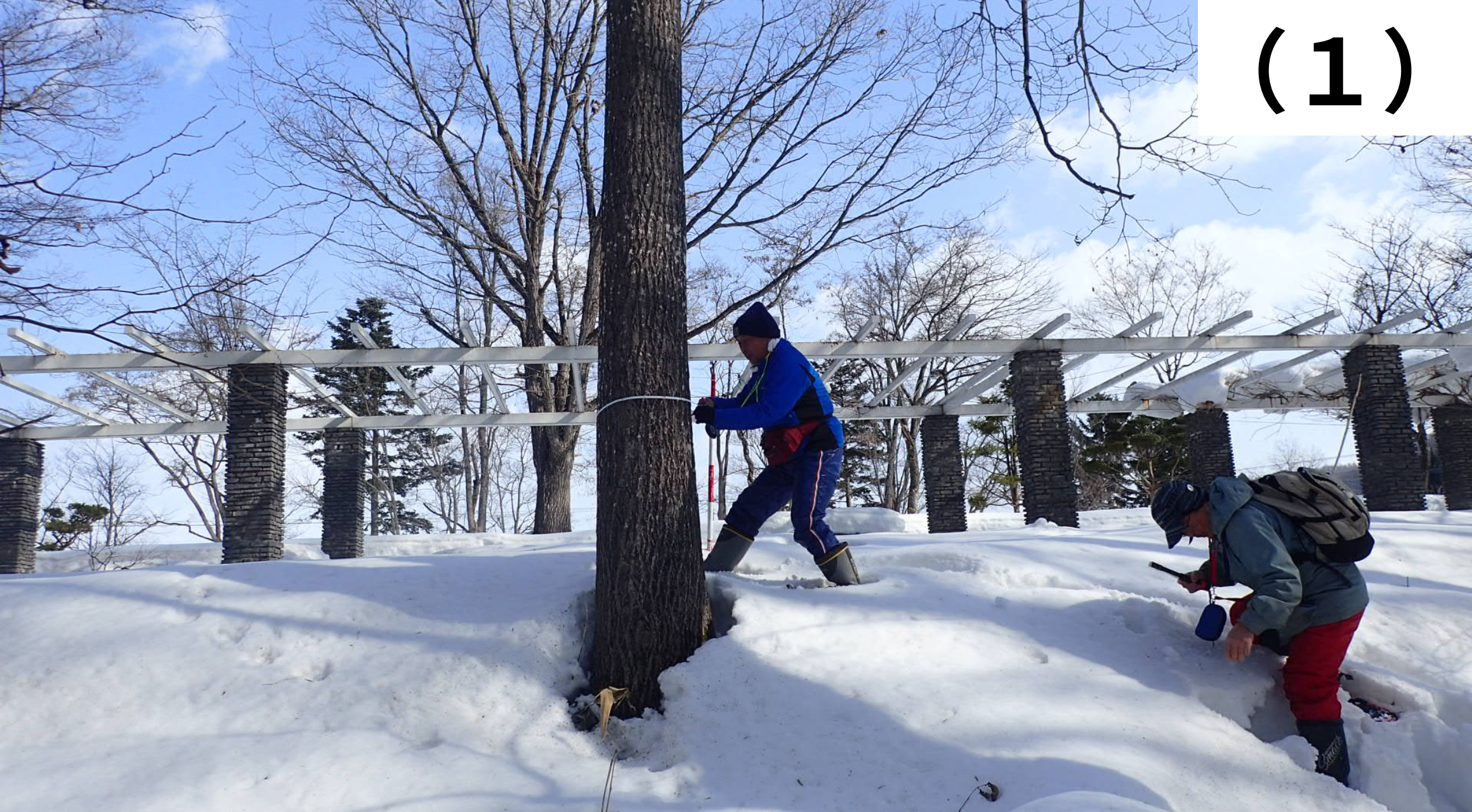 【富良野市】　「富良野の自然に親しむ会」　Webレポート