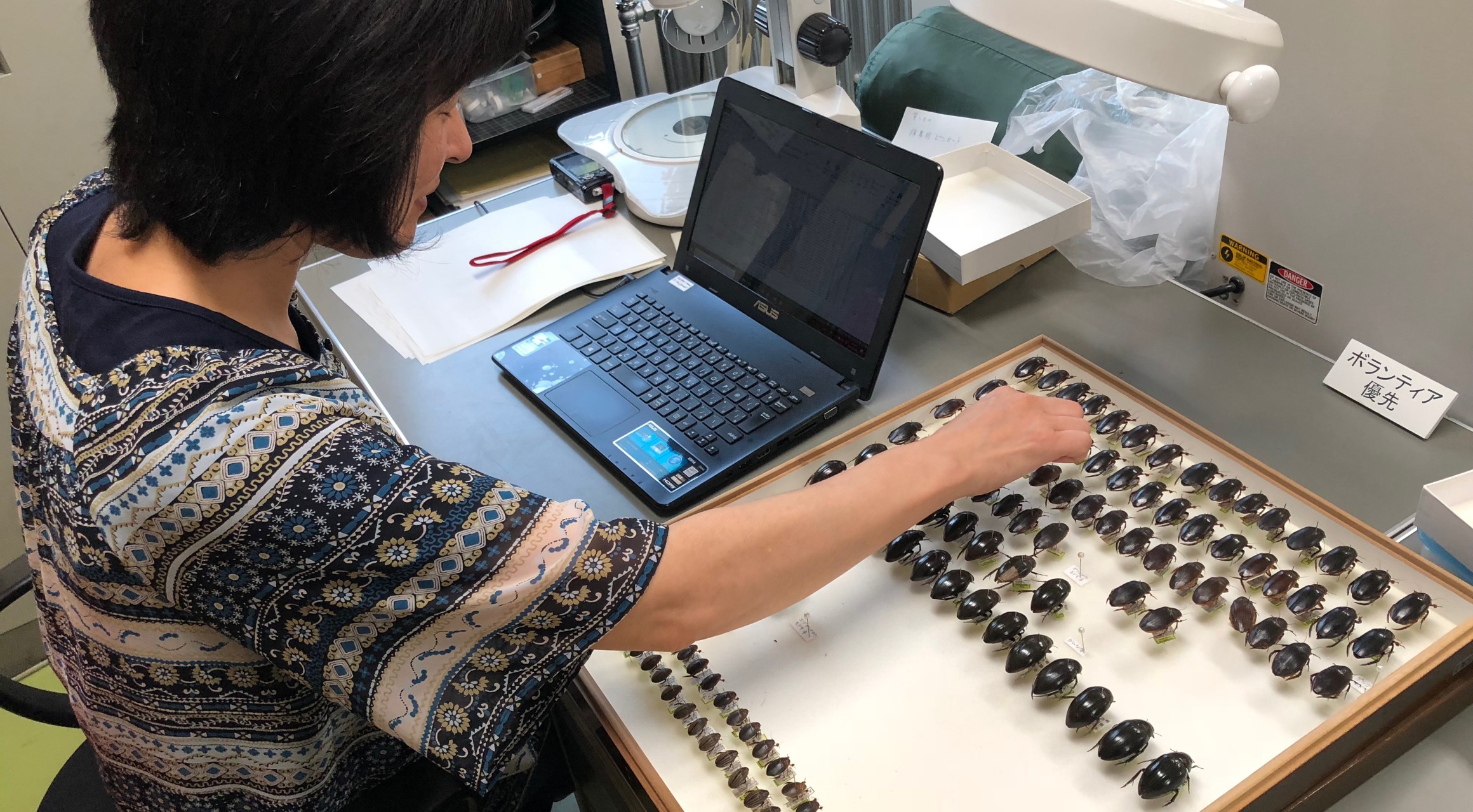 【札幌市】北海道大学総合博物館　昆虫ボランティア水生昆虫グループ　Webレポート