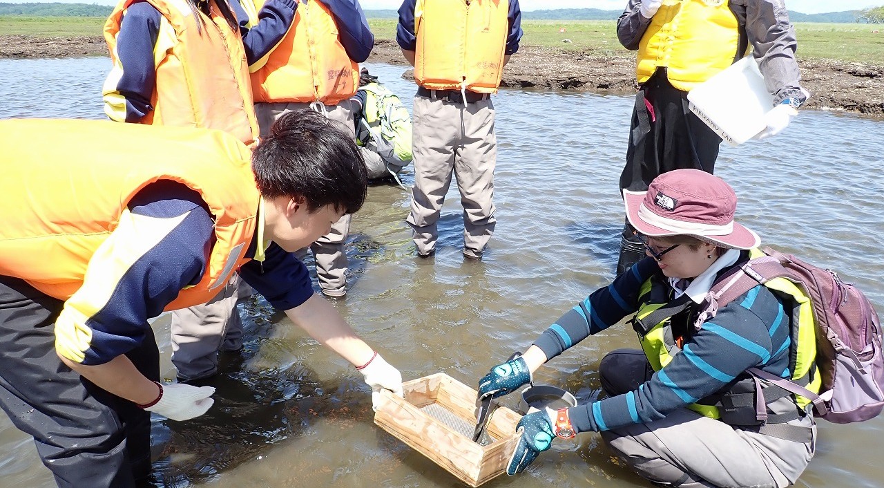 【浜中町】特定非営利活動法人霧多布湿原ナショナルトラスト　Webレポート