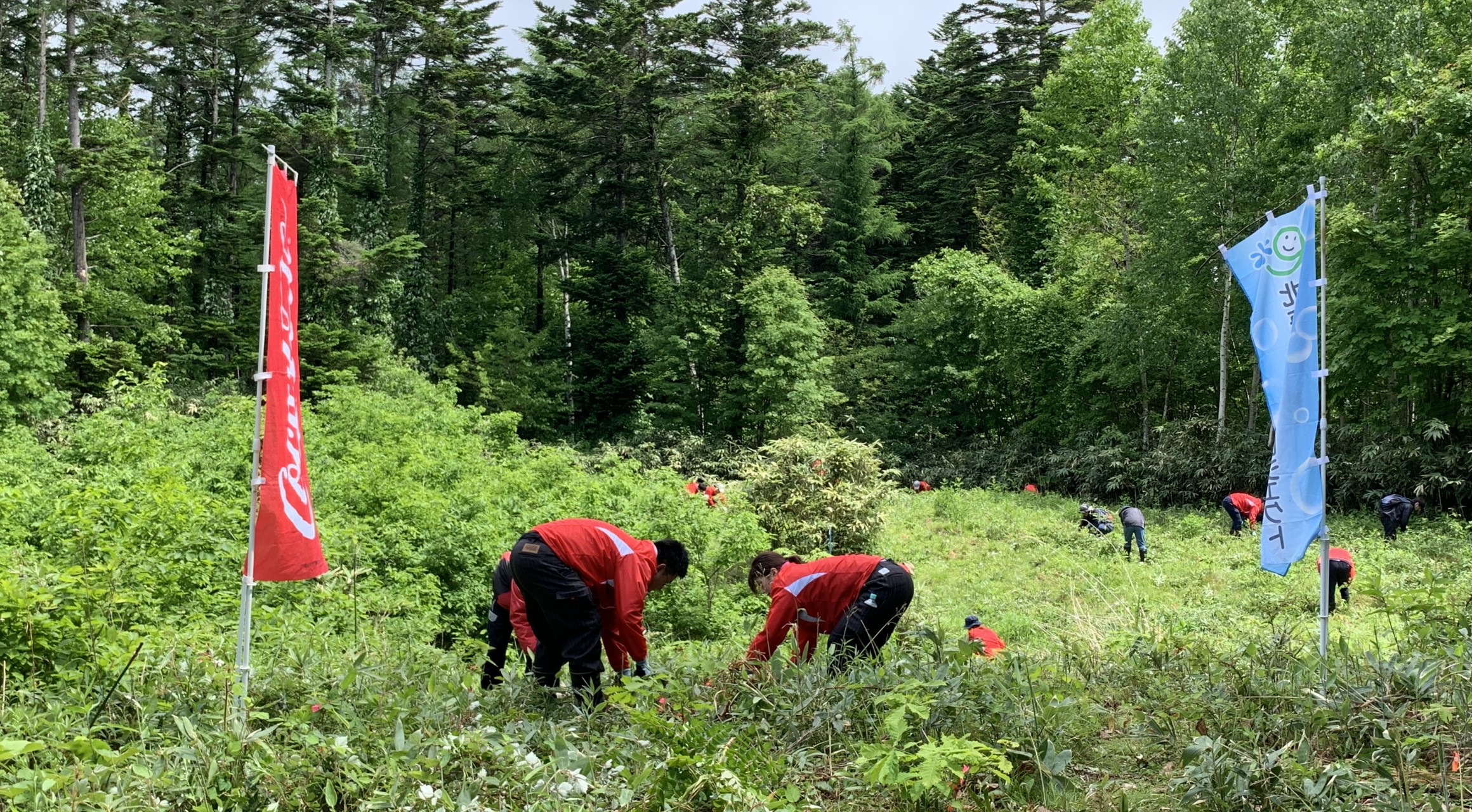 【札幌市】　「北海道コカ·コーラボトリング株式会社」活動報告
