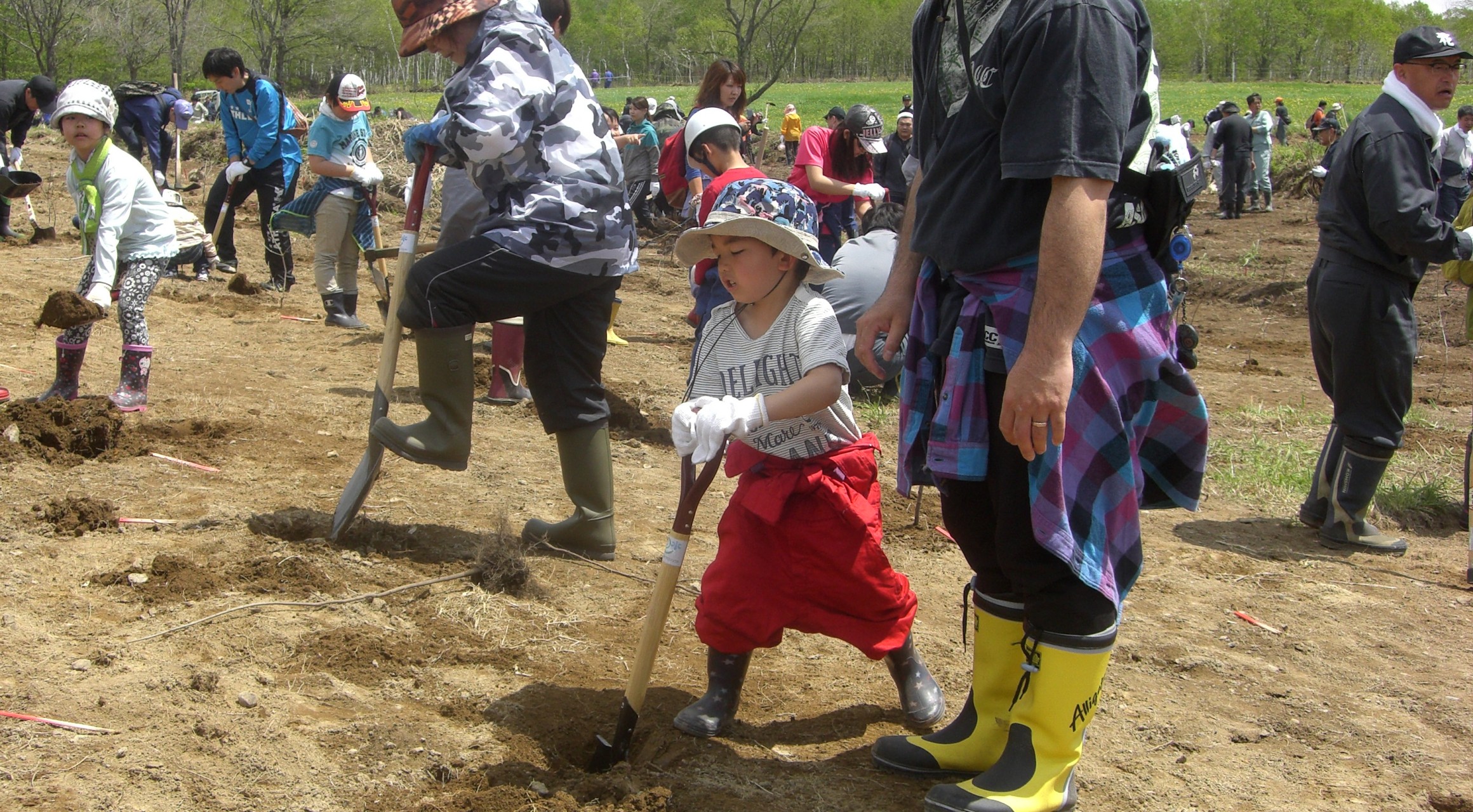 【厚岸町】「厚岸町町民の森植樹祭」