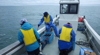 【浜中町】特定非営利活動法人霧多布湿原ナショナルトラスト　Webレポート