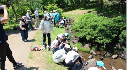 【松前町】　「小松前川支流域環境保全ネットワーク」活動報告