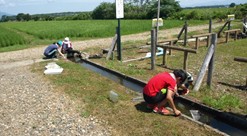 マガレンジャー活動「田んぼ・沼の生きもの調査」＠宮島沼