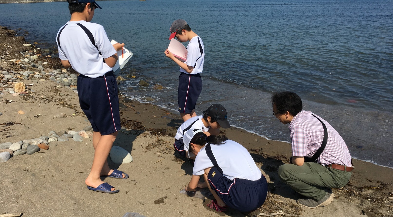 【札幌市】札幌市立北辰中学校科学部　Webレポート
