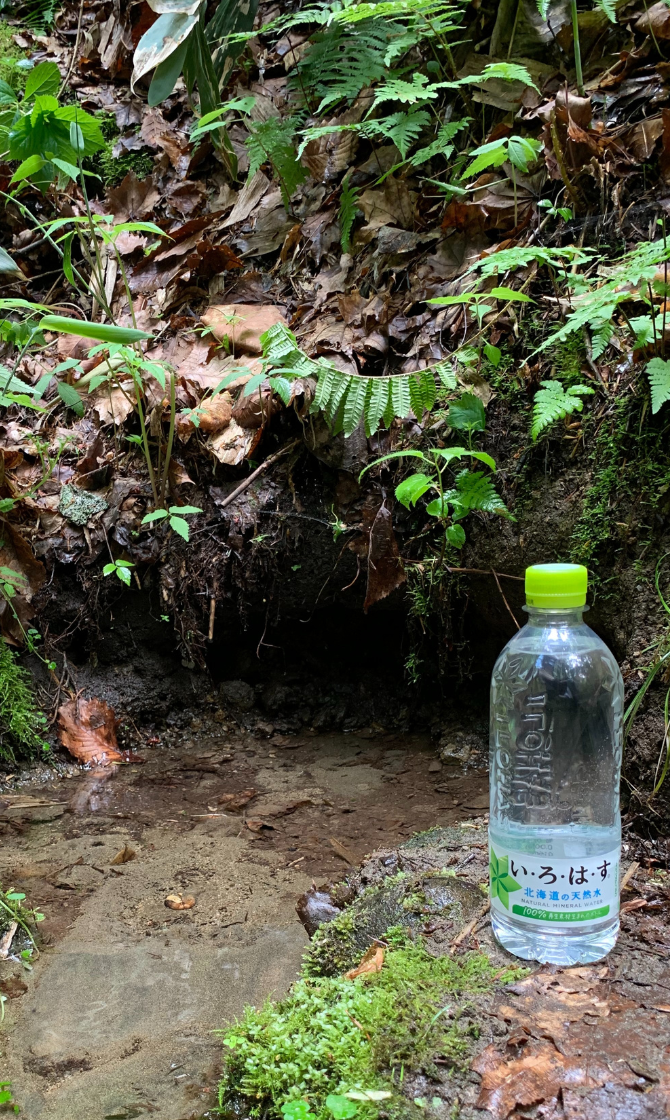 水源地