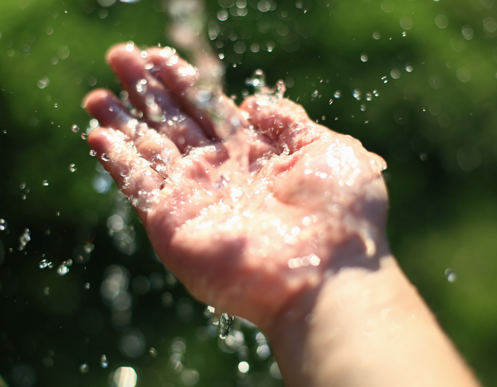 公式ホームページが新しくなりました！